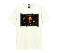 Amplified Superunknown Soundgarden Unisex Erwachsene Vintage T-Shirt, Weiss/opulenter Garten, Klein