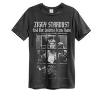 Amplified The Rise and Fall David Bowie T-Shirt für Erwachsene, Unisex, Anthrazit, M