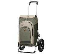 Andersen - Andersen Royal Shopper Hydro 2.1 29 cm Luftrad Thermofach Grau