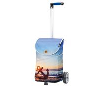 Andersen Einkaufstrolley - 46 Liter - höhenverstellbar - Aufhängung für Einkaufswagen - belastbar 40 kg - Aluminium - Kugellager-Rad Ø 17 cm - mit Kordelzug & Klett - Shopper Mix Collection A37