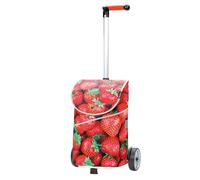 Andersen Einkaufstrolley - 46 Liter - höhenverstellbar - Aufhängung für Einkaufswagen - belastbar 40 kg - Aluminium - Kugellager-Rad Ø 17 cm - mit Kordelzug & Klett - Shopper Mix Collection A30