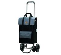 Andersen Einkaufstrolley - klappbar - 43 Liter - 4 Räder - höhenverstellbar - mit Kühlfach - belastbar 50 kg - Stahlgestell - Trolley - Quattro Shopper Vektor grau