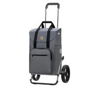 Andersen Einkaufstrolley - klappbar - 45 Liter - mit Kühlfach - belastbar 60 kg - Stahlgestell - Trolley - 3-Speichen-Rad Ø 25 cm - Royal Shopper Steel Wismar silbergr.