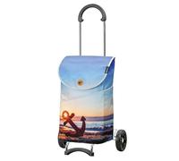 Andersen Einkaufstrolley - klappbar - 46 Liter - belastbar 40 kg - Stahlgestell - mit Kordelzug & Klett - Seiten- & Innentasche - Trolley - Rad Ø 15 cm - Scala Shopper Mix Collection A37