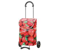 Andersen Einkaufstrolley - klappbar - 46 Liter - belastbar 40 kg - Stahlgestell - mit Kordelzug & Klett - Seiten- & Innentasche - Trolley - Rad Ø 15 cm - Scala Shopper Mix Collection A30