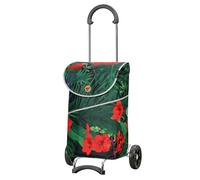 Andersen Einkaufstrolley - klappbar - 46 Liter - belastbar 40 kg - Stahlgestell - mit Kordelzug & Klett - Seiten- & Innentasche - Trolley - Rad Ø 15 cm - Scala Shopper Mix Collection A15