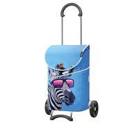Andersen Einkaufstrolley - klappbar - 46 Liter - belastbar 40 kg - Stahlgestell - mit Kordelzug & Klett - Seiten- & Innentasche - Trolley - Rad Ø 15 cm - Scala Shopper Mix Collection A48