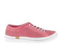 Andrea Conti 0025905 Damen Low Top Sneaker