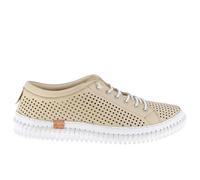 Andrea Conti Damen Low Top Sneaker, Creme, 42 EU