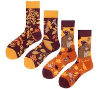 Angelteers 2 Paar Cartoon-Tier-Crew-Socken, lustige Baumwollsocken für Damen, Eichhörnchen, Einheitsgröße