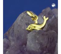 Anhänger 12x7mm kleiner Delfin glänzend 9Kt GOLD