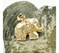 Anhänger 15x12mm Elefant glänzend 9Kt GOLD