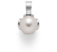 Anhänger von Bastian 41701