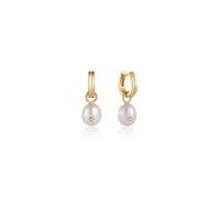 Ania Haie Ohrringe - ANIA HAIE Ohrringe - Gr. unisize - in Gold - für Damen