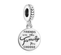 Annmors Friends are Family Charms-Anhänger 925 Sterling Silber Sparkling Charm Bead für Chamilia und europäische Armbänder und Halskette