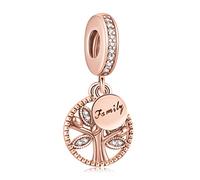 Annmors Muttertag Abitur Moments 925 Sterlingsilber Anhänger Bead Charms für Armband und Kette, für Pandora
