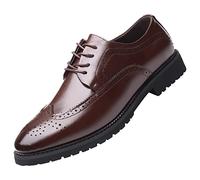 ANUFER Herren Intelligenter Spitzer Zeh Therme Plüschfutter Winterkleid Schuhe Schnüren Hochzeit Brogues Braun SN07990 EU44