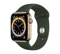 Apple Watch Series 6 (GPS + Cellular) 44mm Edelstahl gold mit Sportarmband zyperngrün