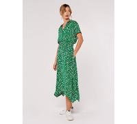 Apricot Midikleid Damen grün, 40