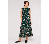 Apricot Midikleid Damen grün, 40