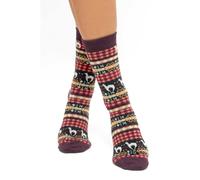 Apu Kuntur - Alpaka Premium Socken Candela - Wärme & Stil im Anden-Look - XL 45-48