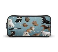 AQRJLPM Federmäppchen mit Aufschrift "Raining Cats & Dogs", großes Fassungsvermögen, einfache Markertasche, tragbar, ästhetischer Reißverschluss, Federmäppchen