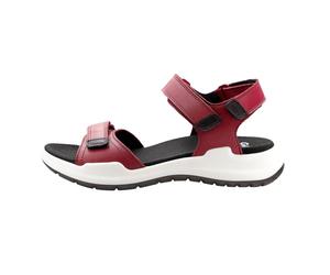 ara Damenschuhe Klassisch CHERRY,SCHWARZ CHERRY/SCHWARZ - Gr. - 36