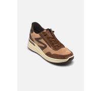 Ara - GARDA 12-57701 - Braun - Sneaker - Größe 36