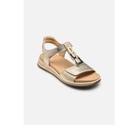 Ara - Sandalen OSAKA-S 12-34804 - gold/bronze - Größe 37