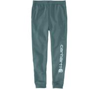 Carhartt Midweight Tapered Graphic Jogginghose, grün-blau, Größe L