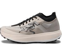 Arc'teryx Men's Sylan Pro Rune/rune 43 1/3