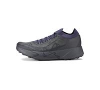 Arc'teryx - Traillaufschuhe - Herren - Sylan 2 - Sylan 2 M Graphite Graphite für Herren - Größe 10,5 UK - Grau Grau 10.5 UK
