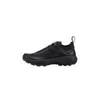Arcteryx Herren Vertex Alpine GTX Schuhe (Größe 46, schwarz)