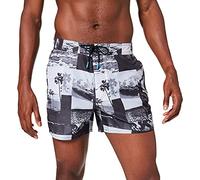 ARENA Beach Shorts Icons Team Stripe Allover