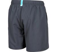 Arena Fundamentals Logo R Herren Badehose, grau 3XL