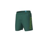 arena Men's Fundamentals Logo Boxer R Swim Trunks, Mangrove-Artic Lime, 56