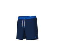 ARENA Herren Team Stripe Boxer Beach Shorts