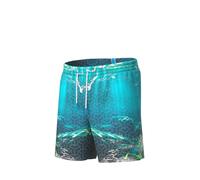 Arena Water Prints Beach 41.5cm Swimming Shorts Blau M Mann