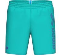Arena LOGOTYPE BEACH BOXER Herren-Strandshorts, türkis, größe L