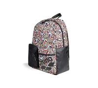 Arena Rucksack ONE GO BACKPACK 30L AO 010228-902 Fun Skulls