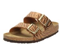 Arizona zebra pecan - Gr. - 37