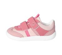 ARNO powder/sucre - Gr. - 30