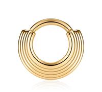 AROWRO 16G Septum Piercing Schmuck Septum Nasenring Septum Schmuck Septum Hoop Septum Piercings Septum Clicker Edelstahl Nahtlose Klappnasenringe Hoop 8mm Knorpel Daith Helix Ohrringe Gold