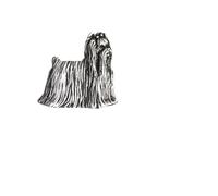 Art-Dog Unique Edition Silber Hund Anstecknadel mit Eleganten Schatulle - Versilbert Handmade - Broschen Frauen - Silber Brosche Schmuck - York - 2,3x2,4x4,5cm