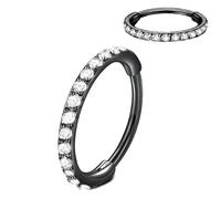 Artskin G23 Titan 0.8 10mm Schwarz Nasenring Hoop hypoallergen nickelfrei Knorpelohrring Septum Clicker Ring Klappbarer Segmentring Lippenring Body Piercing Schmuck