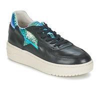 Ash Sneaker FOOL in Schwarz 36