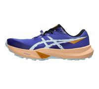Asics Cobalt Burst / Cool Grey Herren 46 EU Asics Fuji Lite 6