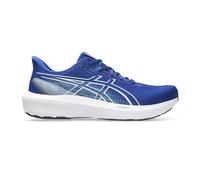 ASICS GT-1000 15 Stabilitätsschuh Herren - blau, weiß, Größe 47