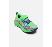 Asics - Sportschuhe Pre Noosa Tri 16 Ps - Grün - Größe 32 1/2