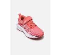Asics - Sportschuhe Pre Noosa Tri 16 Ps - Rosa - Größe 35